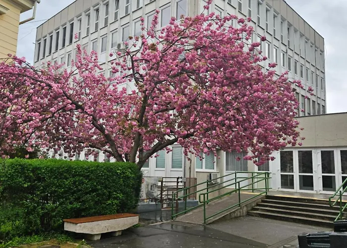 Hellowine Iii Apartament *