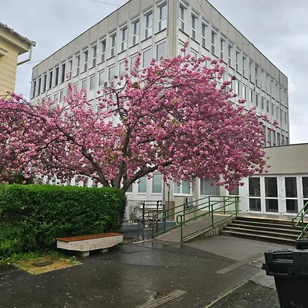 Hellowine Iii 公寓 *